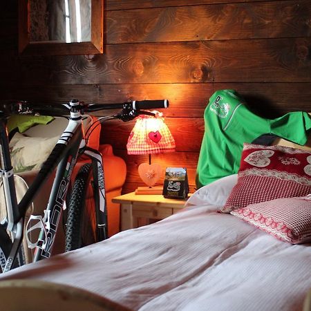 Eirl Dolomites Retreat Sappada Bed & Breakfast Eksteriør bilde